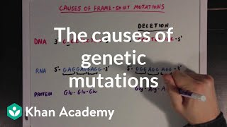 The causes of genetic mutations  Biomolecules  MCAT  Khan Academy [upl. by Laureen84]