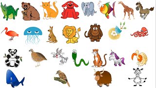 Animal Alphabet [upl. by Zorina31]