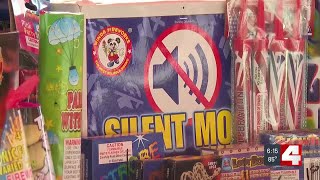 Cottleville fireworks stand employees make holiday fun possible for children with special needs [upl. by Adnuhsed]