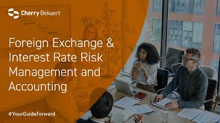 Foreign Exchange and Interest Rate Risk Management and Accounting [upl. by Nottap]