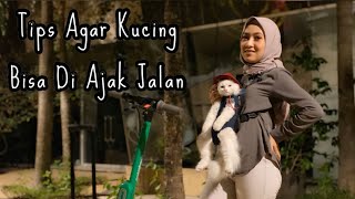 BAWA KUCING NAIK SKUTER  Anteng Banget [upl. by Itnavart]