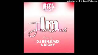 djbenjimixx x rickyy I’m jealous Remix [upl. by Sajovich66]