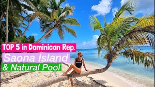 Saona Island Tour All Inclusive Speedboat and Catamaran TOP5 Excursions in Dominican Rep [upl. by Rakso]