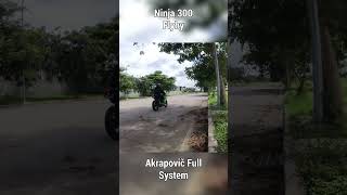 Ninja 300 Akrapovič Full System Flyby Sound [upl. by Rezal960]