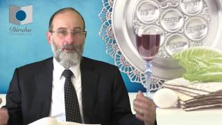 Pesach passover from a Jewish Perspective [upl. by Mayrim729]