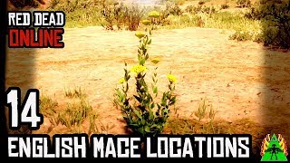 Red Dead Redemption 2 ONLINE  ENGLISH MACE LOCATIONS [upl. by Wyatan]