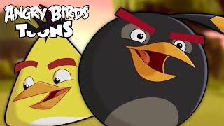 Angry Birds Toons Season 1  Ep 47 to 52 [upl. by Eloise]