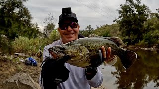 PTP Fishing  Kambah Pool Murray cod [upl. by Kenison]