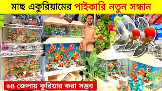 Aquarium Price In Bangladesh🔥 Aquarium Fish Price in bd 2024😱 Aquarium  Aquarium Fish [upl. by Nadya]