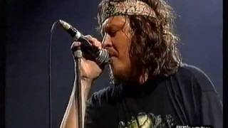 Zucchero  OLSMM Live 1995 [upl. by Ahsineg927]