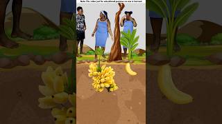 Bananas 🍌 items🤯 New Viral Gadgets Smart Appliances Kitchen UtensilsHome Inventions shorts [upl. by Airrej]