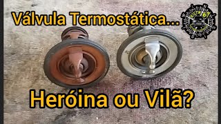 válvula termostática  heróina ou Vilã Entenda [upl. by Acima]