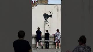 Why is Banksy painting animals around London  ABC News [upl. by Sloatman419]