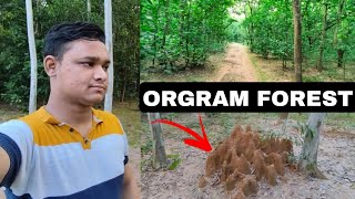 Orgram Forest Ma Rasta Bhatak Gaya 😅  Sayef Vlogs [upl. by Wernick217]