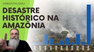 ÍNDICE de DEVASTAÇÃO da AMAZÔNIA atinge RECORD HISTÓRICO em 2024 com DESCASO e HIPOCRISIA de LULA [upl. by Drue]