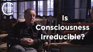 Colin McGinn  Is Consciousness Irreducible [upl. by Sudnak]