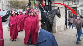 😡 Guard PROTECTS His Horse quotDUDE OUTSIDE THE BOXquot while Noisy Protestors Disrupt the Horse ‼️ [upl. by Tahpos440]