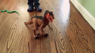 Remote controlled walking dinosaur [upl. by Herta724]