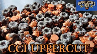 CCI UPPERCUT  THE BEST 22LR SELFDEFENSE AMMO EVER MADE [upl. by Anyk286]