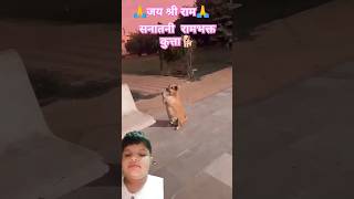 Rambhakta Doggy  रामभक्त कुत्ता  Ramnavami Fever ram ramayan ramcharitmanas ramnavmi viral [upl. by Berliner]