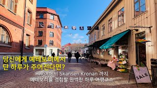 현지인이 추천하는 예테보리 완벽 원데이투어 코스HagaSkansen Kronan 스웨덴 여행 [upl. by Dorisa431]