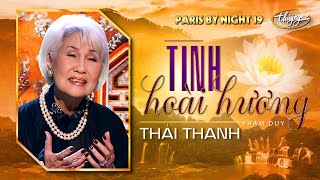 PBN 19  Thái Thanh  Tình Hoài Hương [upl. by Eymaj153]