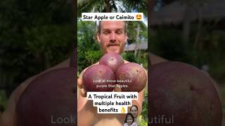 Star Apple Caimito fruit fruitcutting beautifulnature fruitcutting satisfying shorts [upl. by Llekcm]