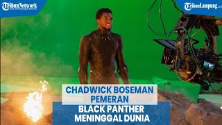 Chadwick Boseman Pemeran Black Panther Meninggal Dunia [upl. by Erkan]