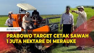 Segini Target Presiden Prabowo untuk Cetak Sawah di Merauke [upl. by Etennaej]