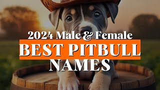 Best Male and Female Pitbull Dog Names 2024  pt 1 [upl. by Koralle]