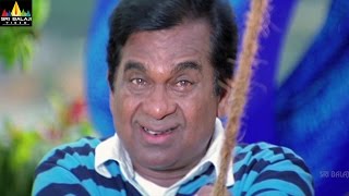 Brahmanandam Comedy Scenes Back to Back  Vol 3  Non Stop Telugu Comedy  Sri Balaji Video [upl. by Williamson644]