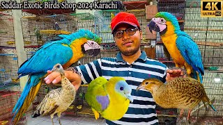 Saddar Amazing Birds and Parrots Market Karachi 2024  Macaw Parrots and Other Rare and Ground Birds [upl. by Conlin500]