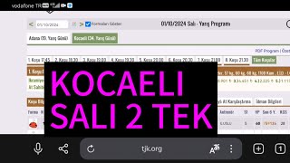 29 Ekim 2024 Salı Kocaeli at yarışı tahminleri Kocaeli altılı ganyan tahminleri  Oğulcan Karaca [upl. by Eirovi]