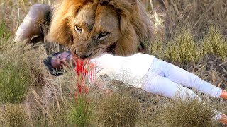 Lion Attack Man in Forest  Lion Attack Hunter  Lion Attack Stories Part 2 [upl. by Barden217]