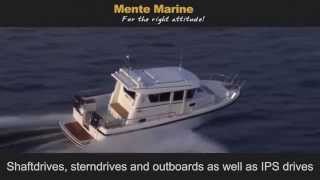 Mente Marine v 0 5 [upl. by Duyne]