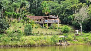 Lindo Sítio No Sul De Minas Gerais A Venda [upl. by Aerdnac]