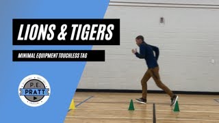 No Equipment Touchless PE Game  Lions and Tigers Tag and Fitness [upl. by Nolur]