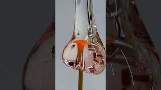 Stunning Glass Blowing Mushroom Blossoms Before Your Eyes [upl. by Kristo]