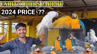 Birds Parrots PRICE  2024 Upcoming PRICE of Exoitic Parrots [upl. by Oflodur82]