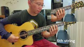 The Incredible Natural Harmonics at the 3rd 4th amp 5th Fret on the Walker OM BrazilianAdirondack [upl. by Ellatnahc896]