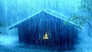 🔴 Heavy Rain on a Tin Roof for Sleeping 247 Sleep Instantly with Rain Sounds amp Thunder at Nigh [upl. by Sokcin]