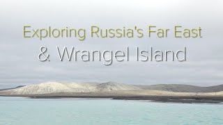 201909 Polar Bears at Wrangel Island Russia with NatGeo [upl. by Asilrac544]