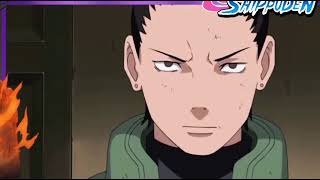 Shikamaru wants to tell Kurenai that Asuma died [upl. by Yliah49]