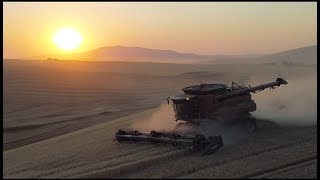 Palouse Harvest 2024 [upl. by Gilmour]