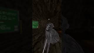 We need more members  modded modders vr vpns apks dlls gorillatagcopy [upl. by Adall]