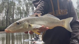 Fishing lake Cathie and Murrumbidgee River ￼ [upl. by Catherine]