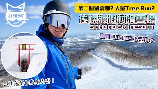 佐幌渡假村滑雪場 第二個留壽都 大量Tree Run 剩係Clubmed先去得 Sahoro Ski Resort [upl. by Acim]