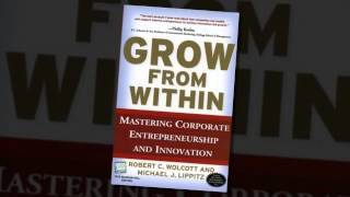 View Books on Intrapreneurship and Corporate Entrepreneurs [upl. by Jdavie]