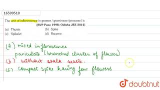 The unit of inflorescence in grassesgramineae poaceae is [upl. by Franzoni]