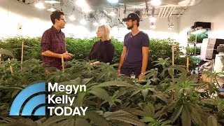 How Legalized Marijuana Is Changing One California Town  Megyn Kelly TODAY [upl. by Atinoj699]